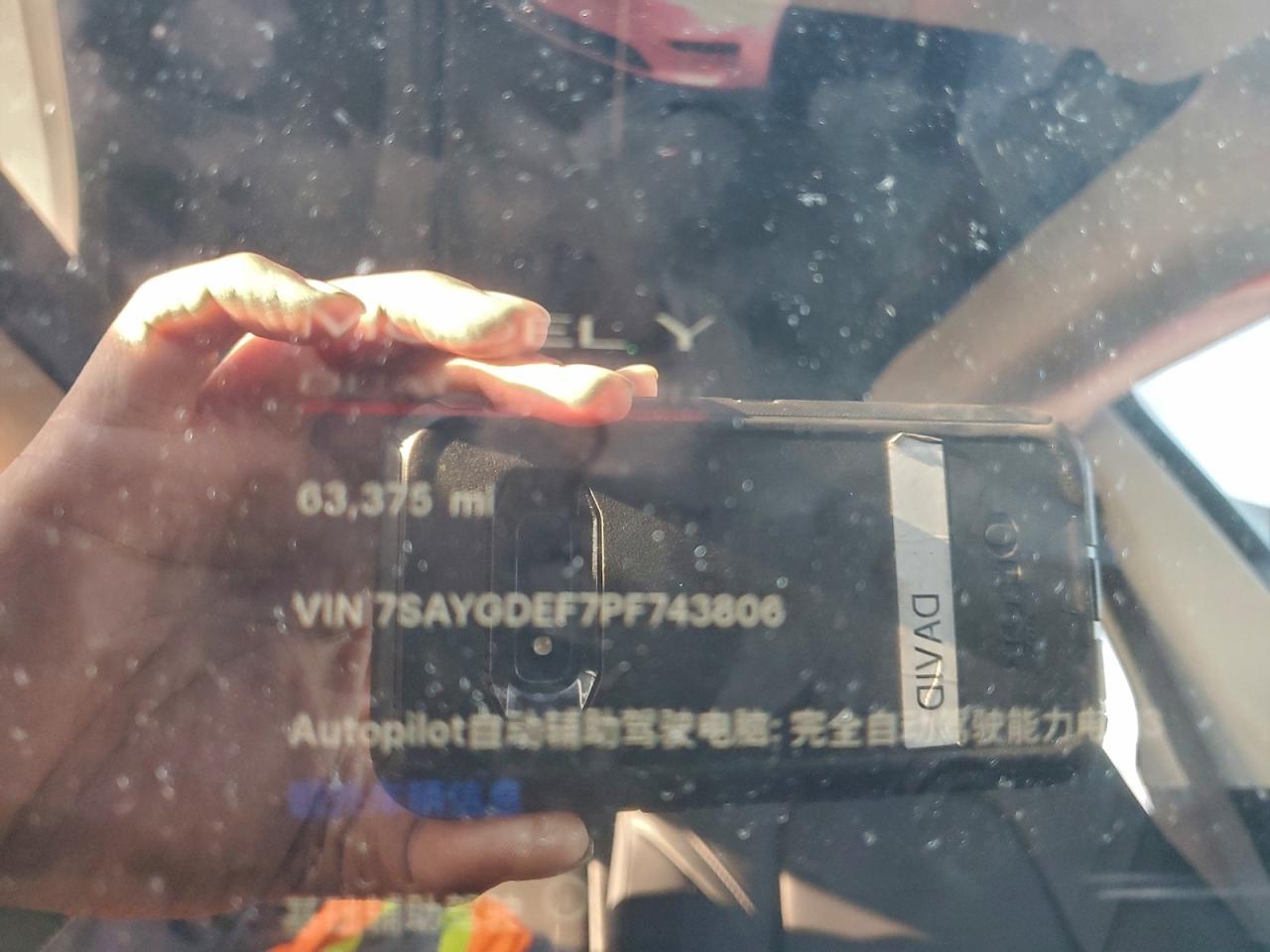 2023 Tesla Model Y VIN: 7SAYGDEF7PF743806 Lot: 94172305