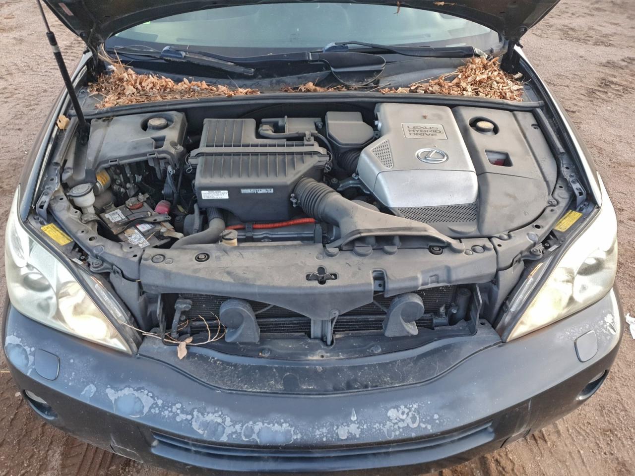 2007 Lexus Rx 400H VIN: JTJHW31U172012139 Lot: 94333065