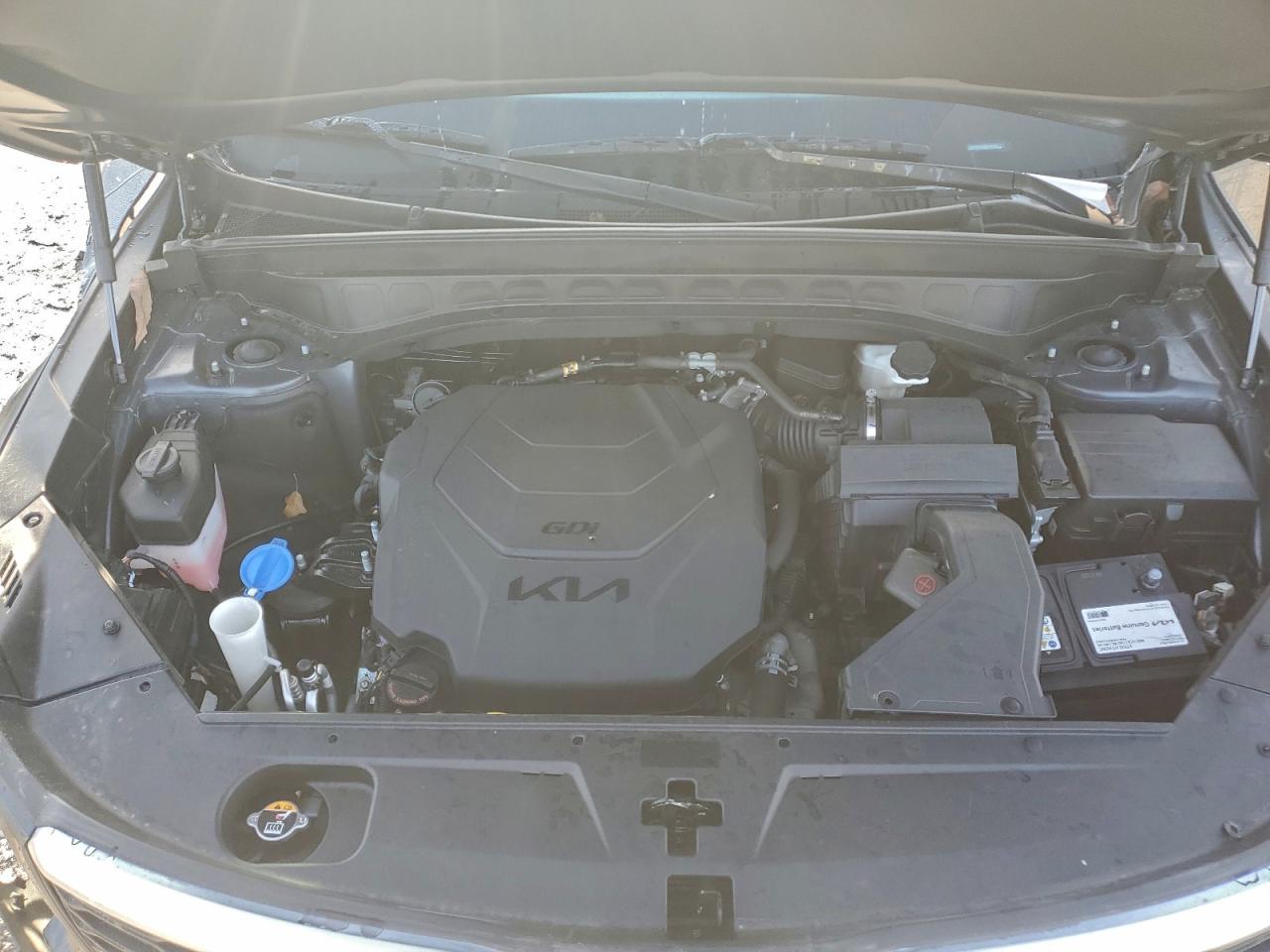 2022 Kia Telluride S VIN: 5XYP6DHC6NG198202 Lot: 94027345