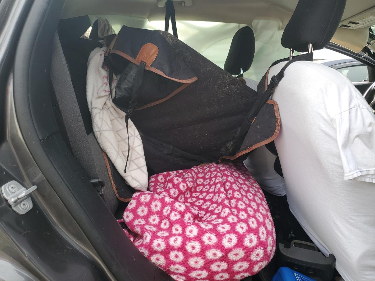 2014 Jeep Cherokee Latitude VIN: 1C4PJMCS6EW147816 Lot: 91377685