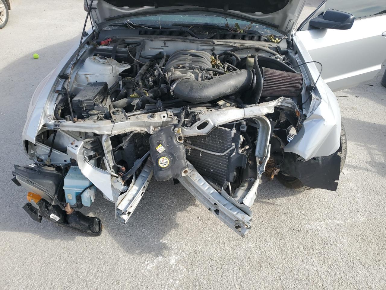 2006 Ford Mustang Gt VIN: 1ZVHT82H365203176 Lot: 91623475