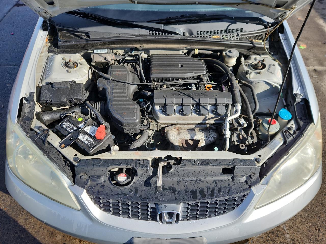 2004 Honda Civic Lx VIN: 1HGEM22514L071681 Lot: 92060045