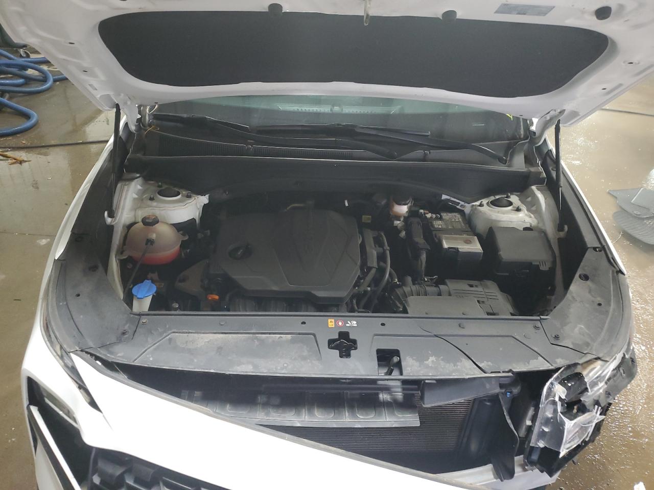 2022 Hyundai Santa Fe Sel VIN: 5NMS64AJ1NH455582 Lot: 92887505