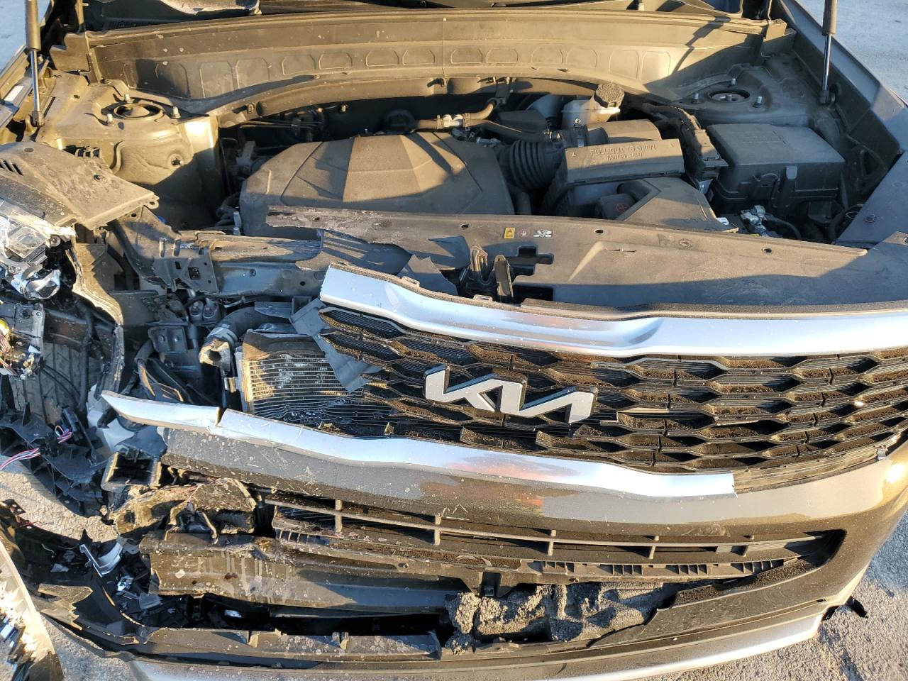 2022 Kia Telluride Ex VIN: 5XYP34HC2NG249378 Lot: 93065655