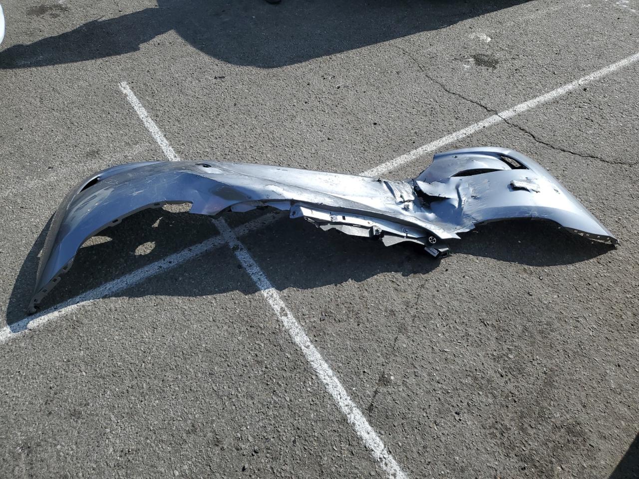 2024 Tesla Model Y VIN: 7SAYGDEE1RA300476 Lot: 91143505