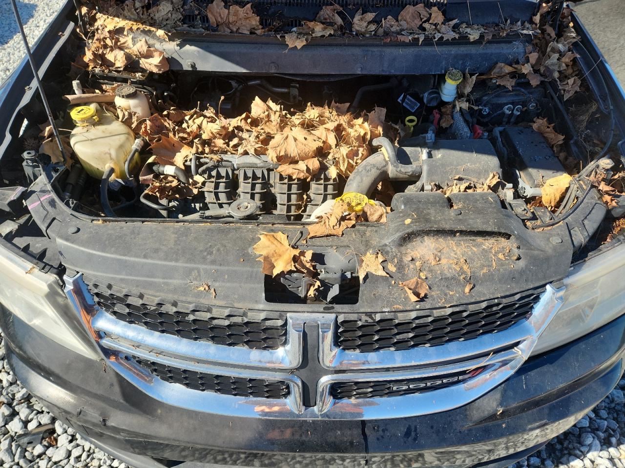 2017 Dodge Journey Se VIN: 3C4PDCAB9HT558982 Lot: 92828075