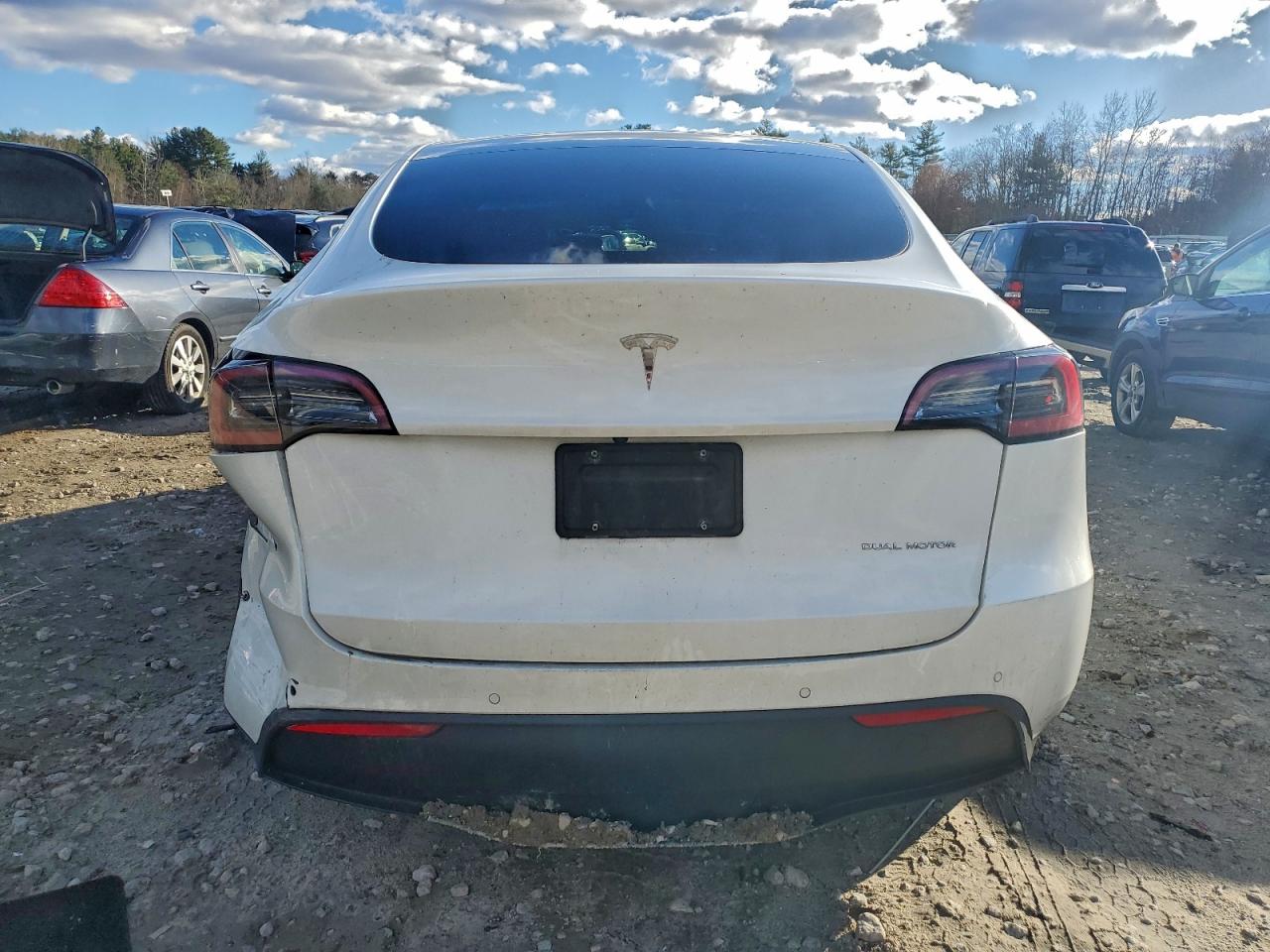 2022 Tesla Model Y VIN: 7SAYGAEE7NF383438 Lot: 91482665