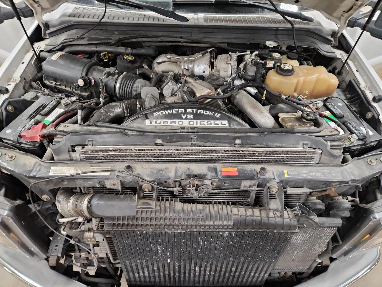 2008 Ford F250 Super Duty VIN: 1FTSW20R88EA89221 Lot: 92243175