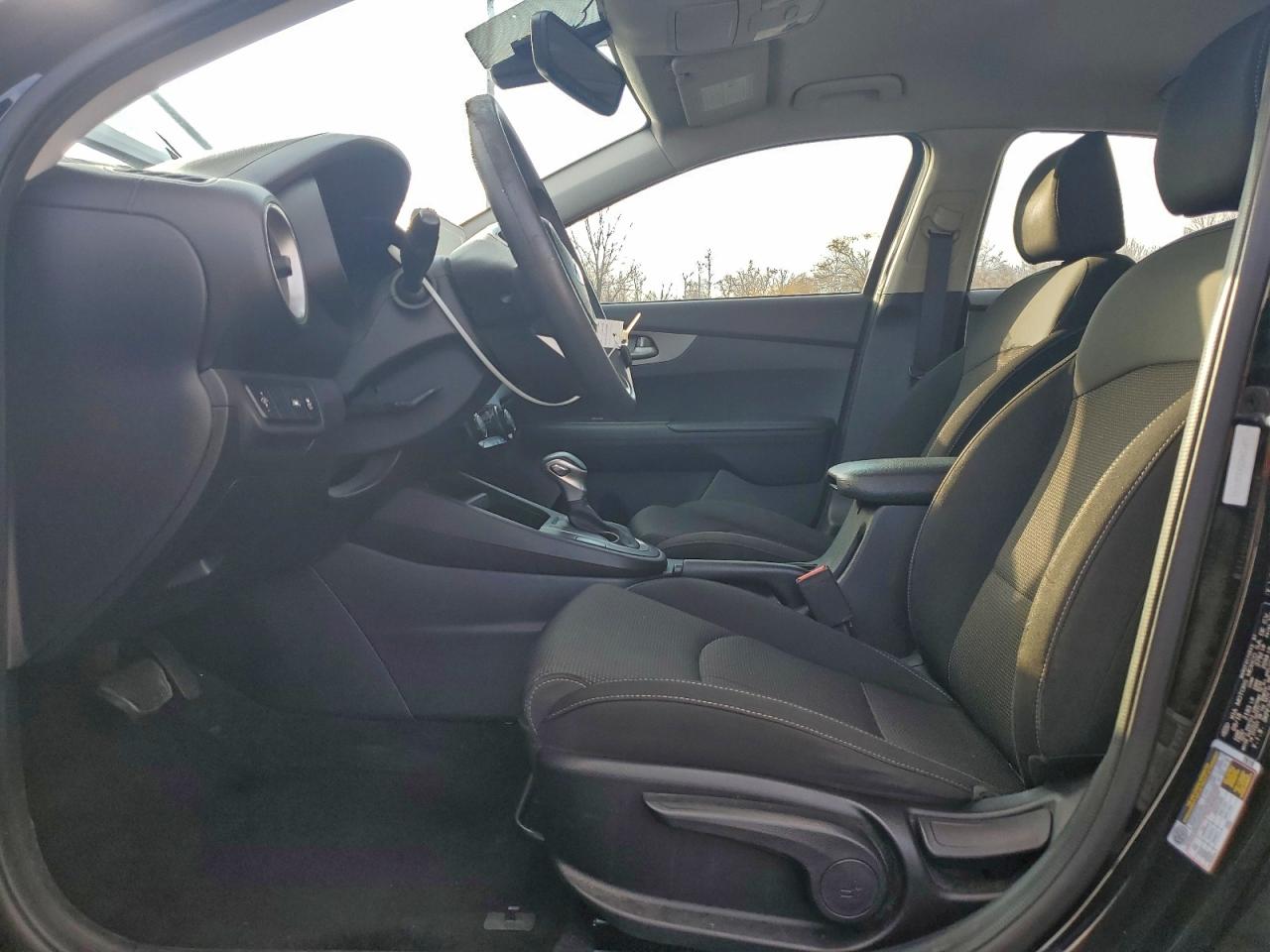 2019 Kia Forte Fe VIN: 3KPF24AD5KE024043 Lot: 94766895