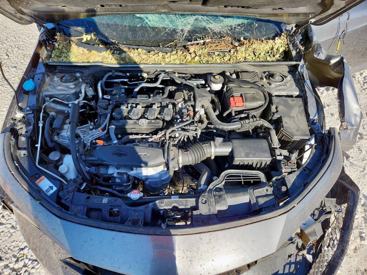 2024 Acura Integra A-Spec VIN: 19UDE4H3XRA017793 Lot: 91595185