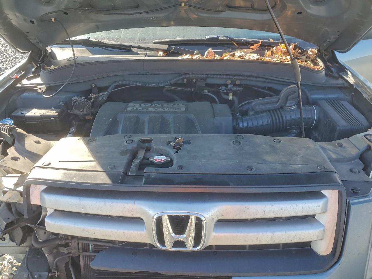 2006 Honda Pilot Ex VIN: 2HKYF18586H521129 Lot: 93827335