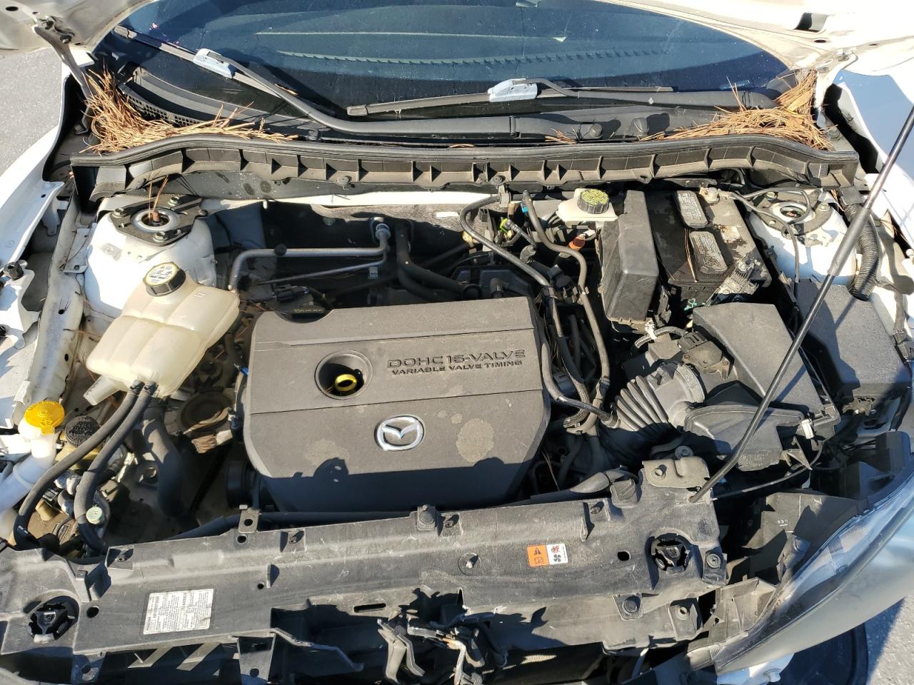 2010 Mazda 3 I VIN: JM1BL1SF8A1223454 Lot: 91829585