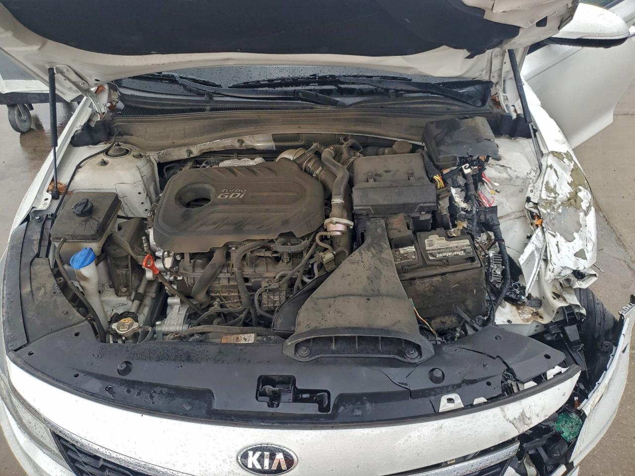 2019 Kia Optima Sxl VIN: 5XXGV4L26KG304598 Lot: 93711395