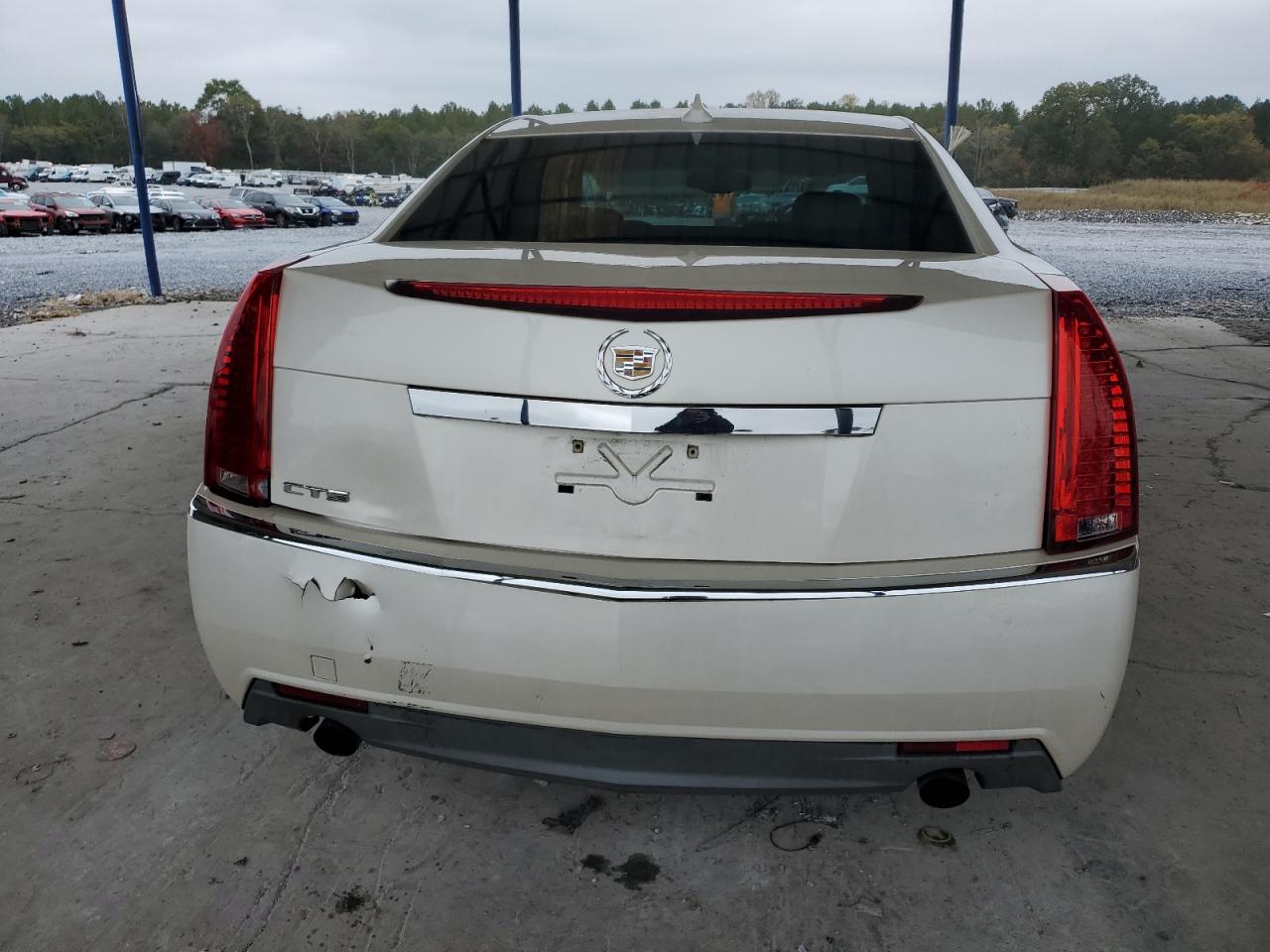 2010 Cadillac Cts VIN: 1G6DA5EG9A0125827 Lot: 91188985