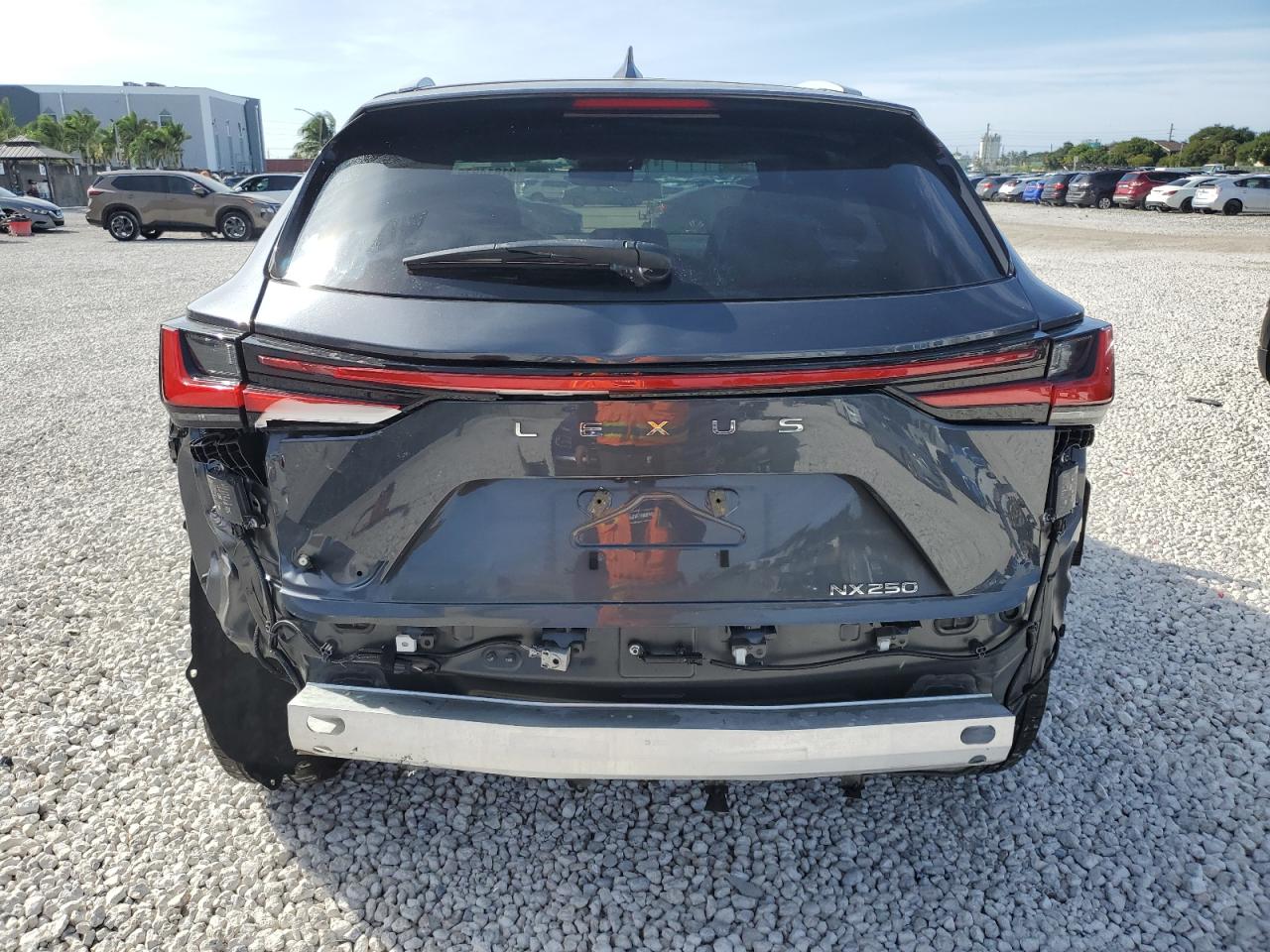 2024 Lexus Nx 250 Base VIN: 2T2ADCAZ9RC014355 Lot: 91814975