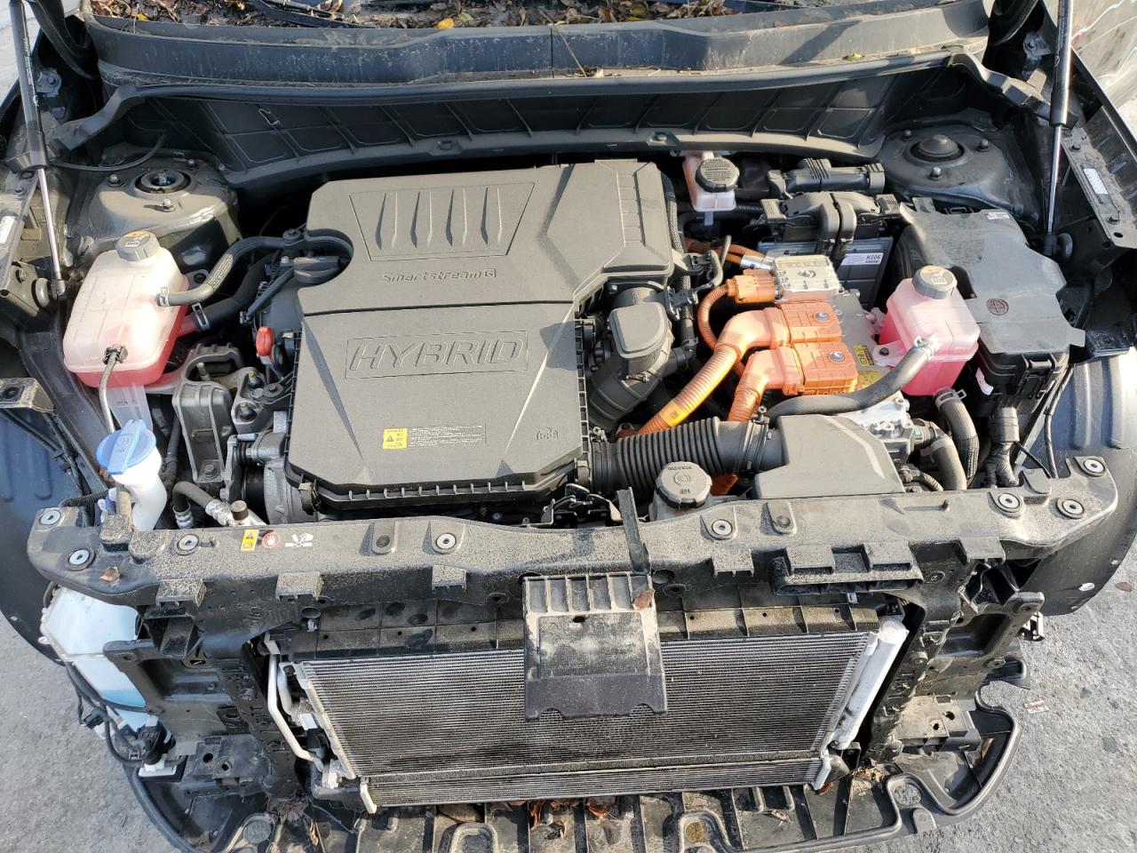 2023 Kia Niro Ex VIN: KNDCR3LE5P5090822 Lot: 93748895