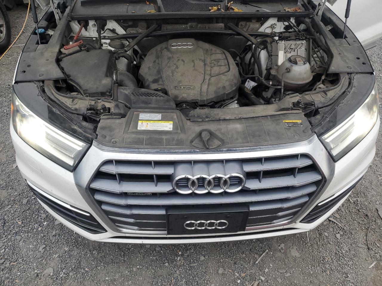 2019 Audi Q5 Premium VIN: WA1ANAFY7K2080469 Lot: 92678915