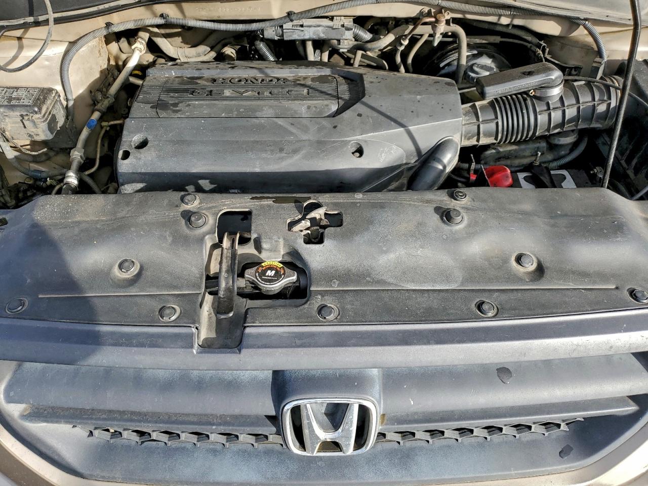 2004 Honda Pilot Exl VIN: 2HKYF18554H583648 Lot: 93841185