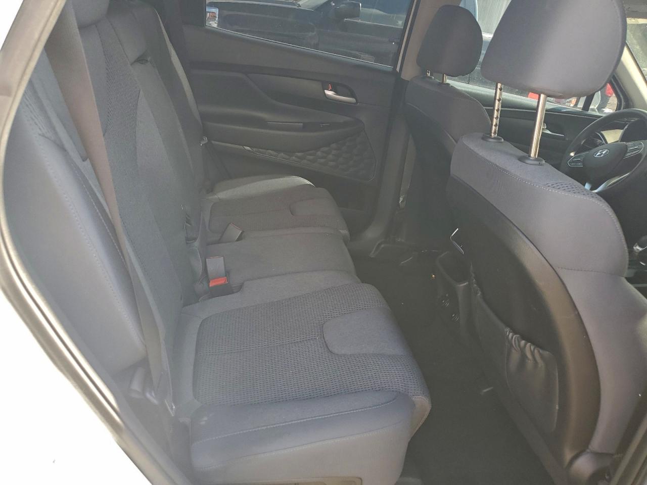 2020 Hyundai Santa Fe Sel VIN: 5NMS3CAD5LH271319 Lot: 93922285