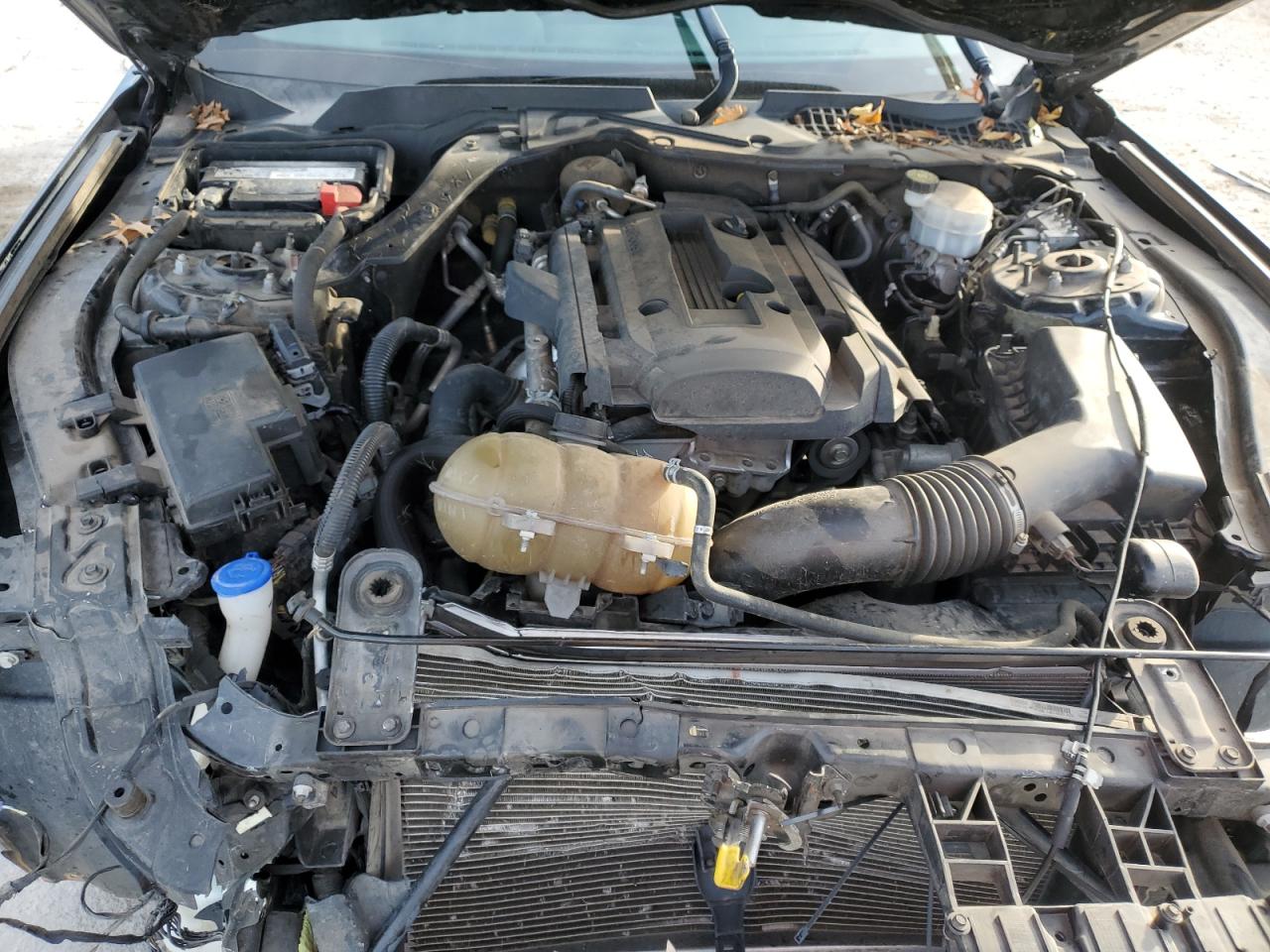 2020 Ford Mustang VIN: 1FA6P8TH8L5124097 Lot: 91843495