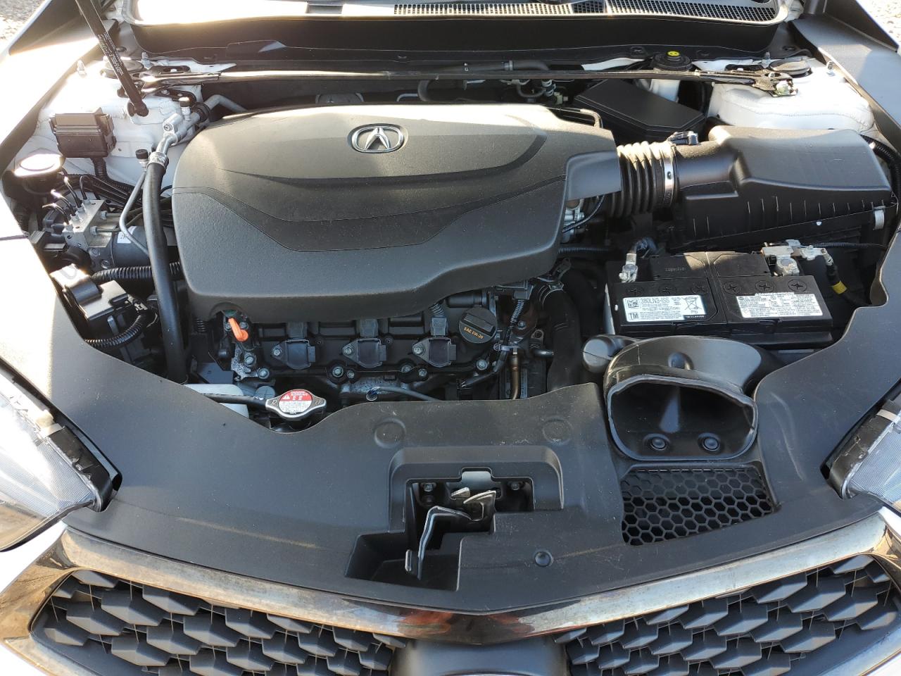 2020 Acura Tlx Technology VIN: 19UUB3F60LA002954 Lot: 91578265