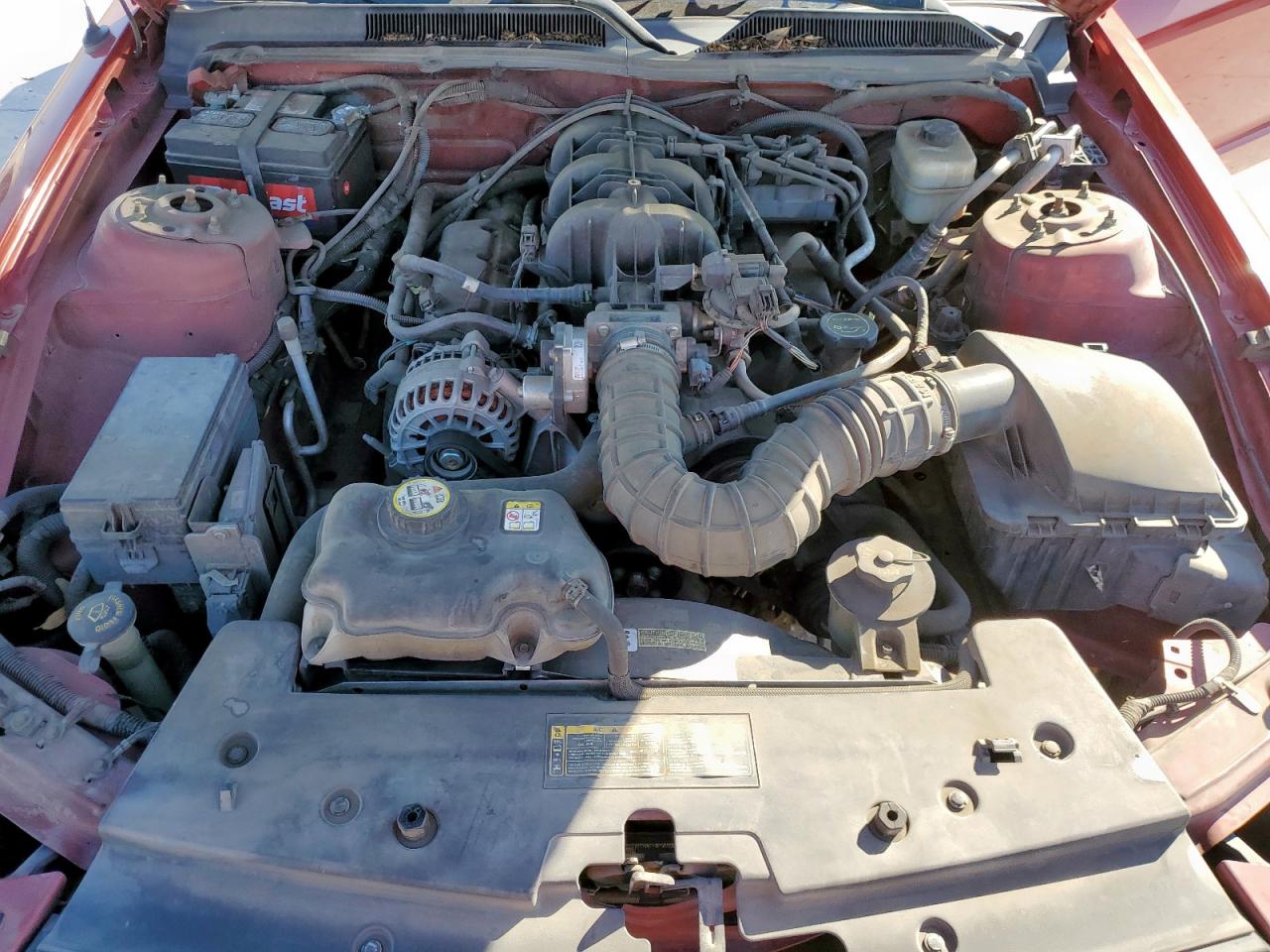 2008 Ford Mustang VIN: 1ZVHT80N985195998 Lot: 91351395