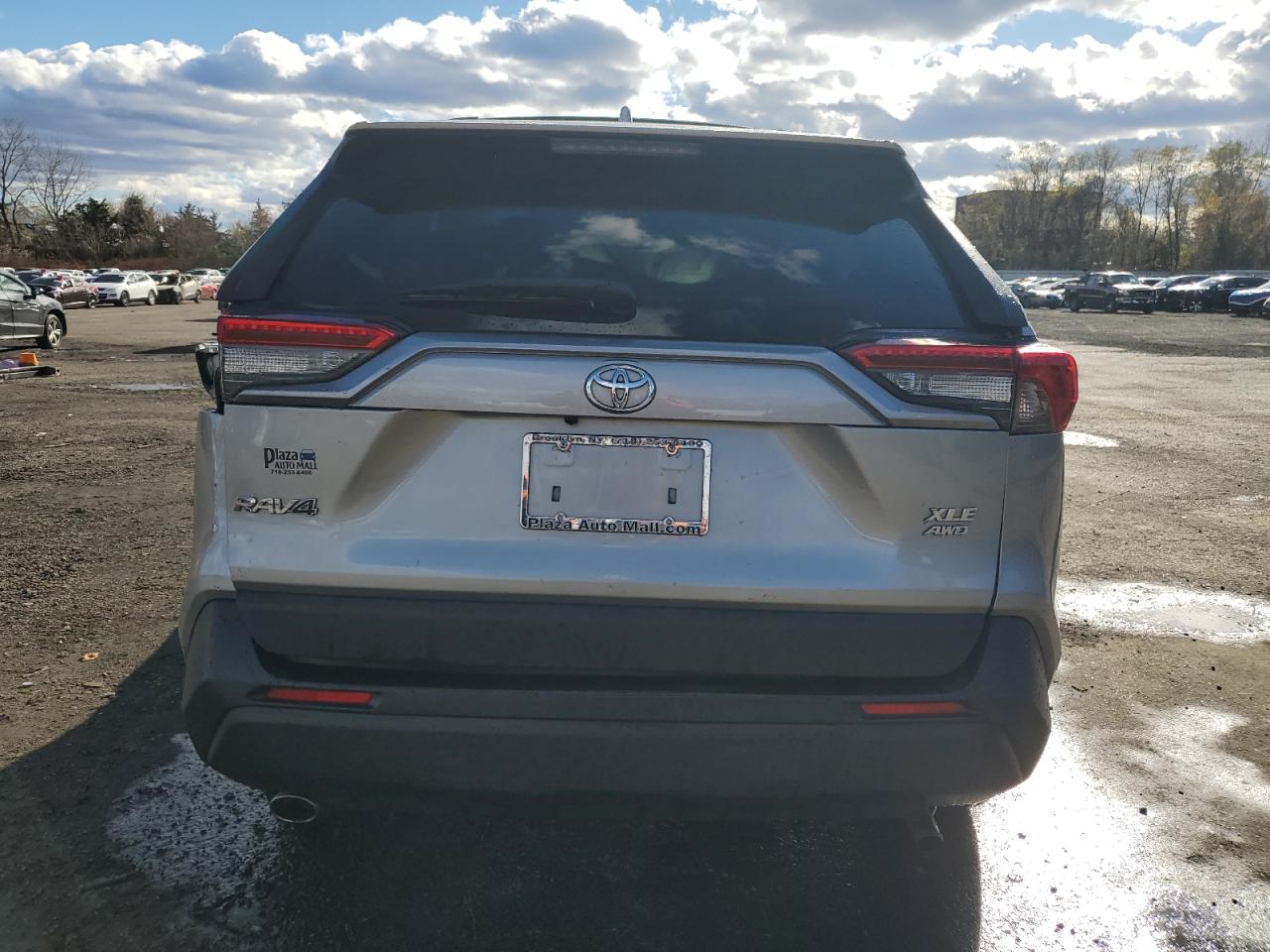 2019 Toyota Rav4 Xle VIN: JTMP1RFV6KD040307 Lot: 91306775