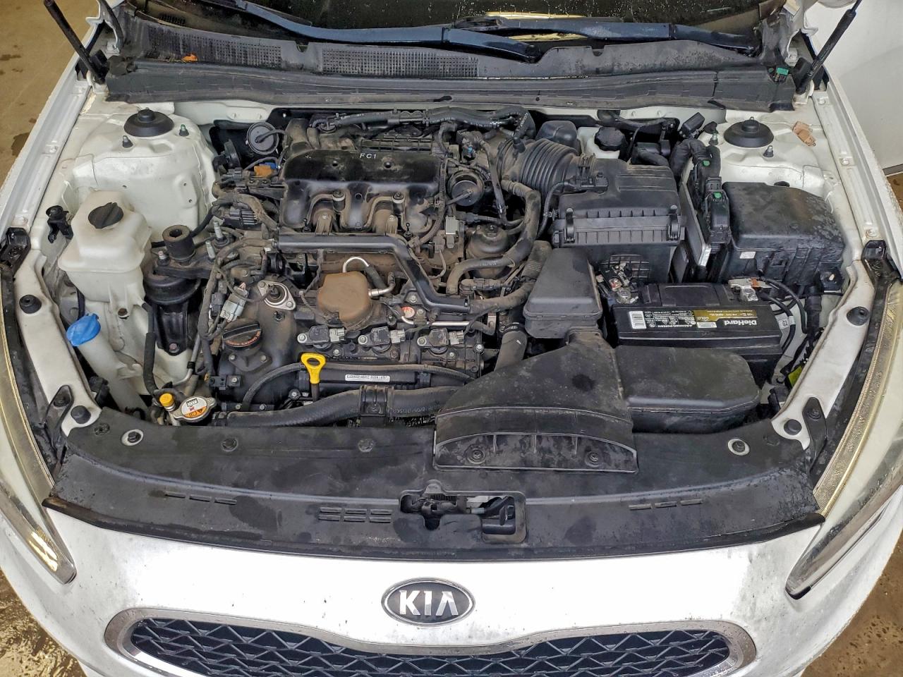 2014 Kia Cadenza Premium VIN: KNALN4D71E5165561 Lot: 92681065