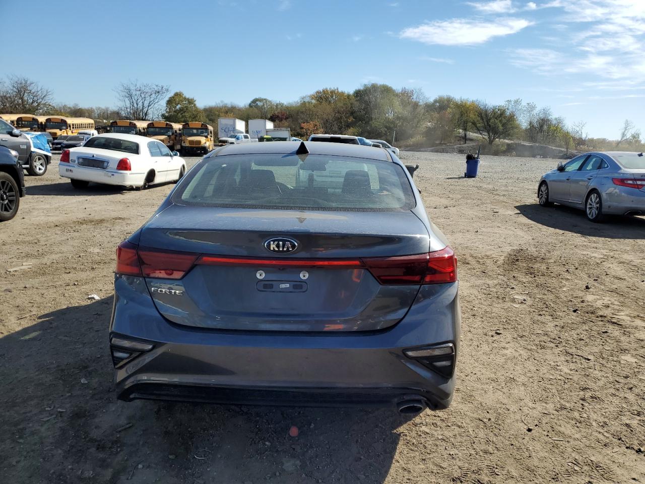 2020 Kia Forte Fe VIN: 3KPF24AD4LE143378 Lot: 91504085