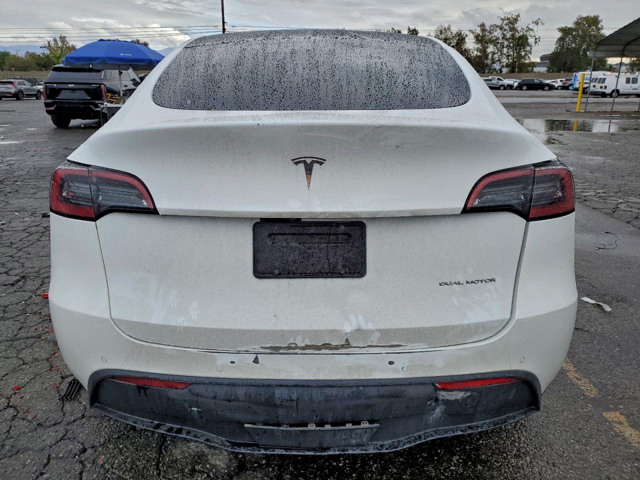 2022 Tesla Model Y VIN: 7SAYGDEE0NF411811 Lot: 93710145