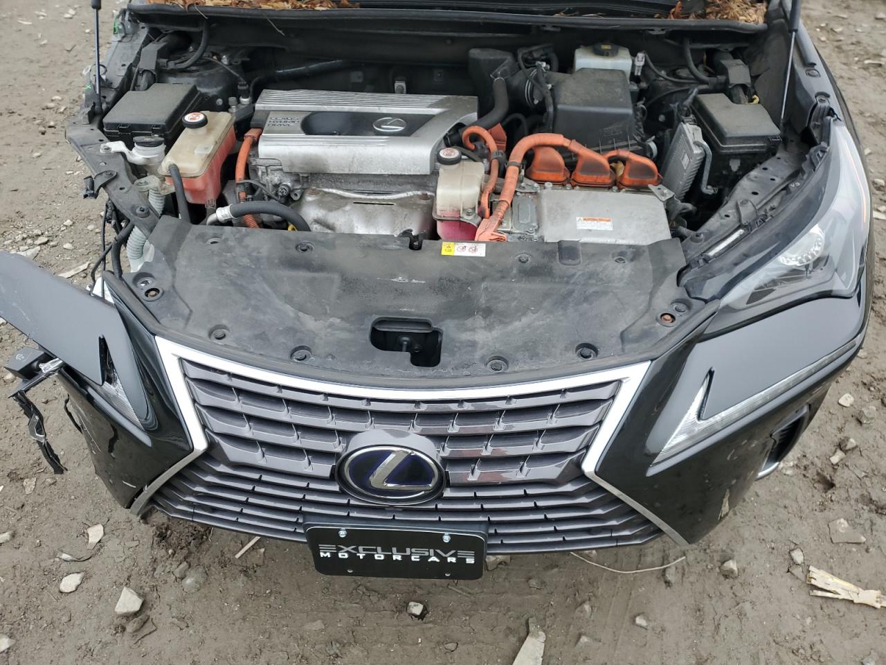 2019 Lexus Nx 300H VIN: JTJBJRBZ3K2098743 Lot: 92180975