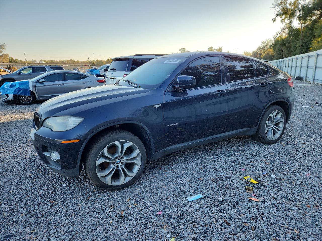 Фото: 5UXFG2C56BLX08455