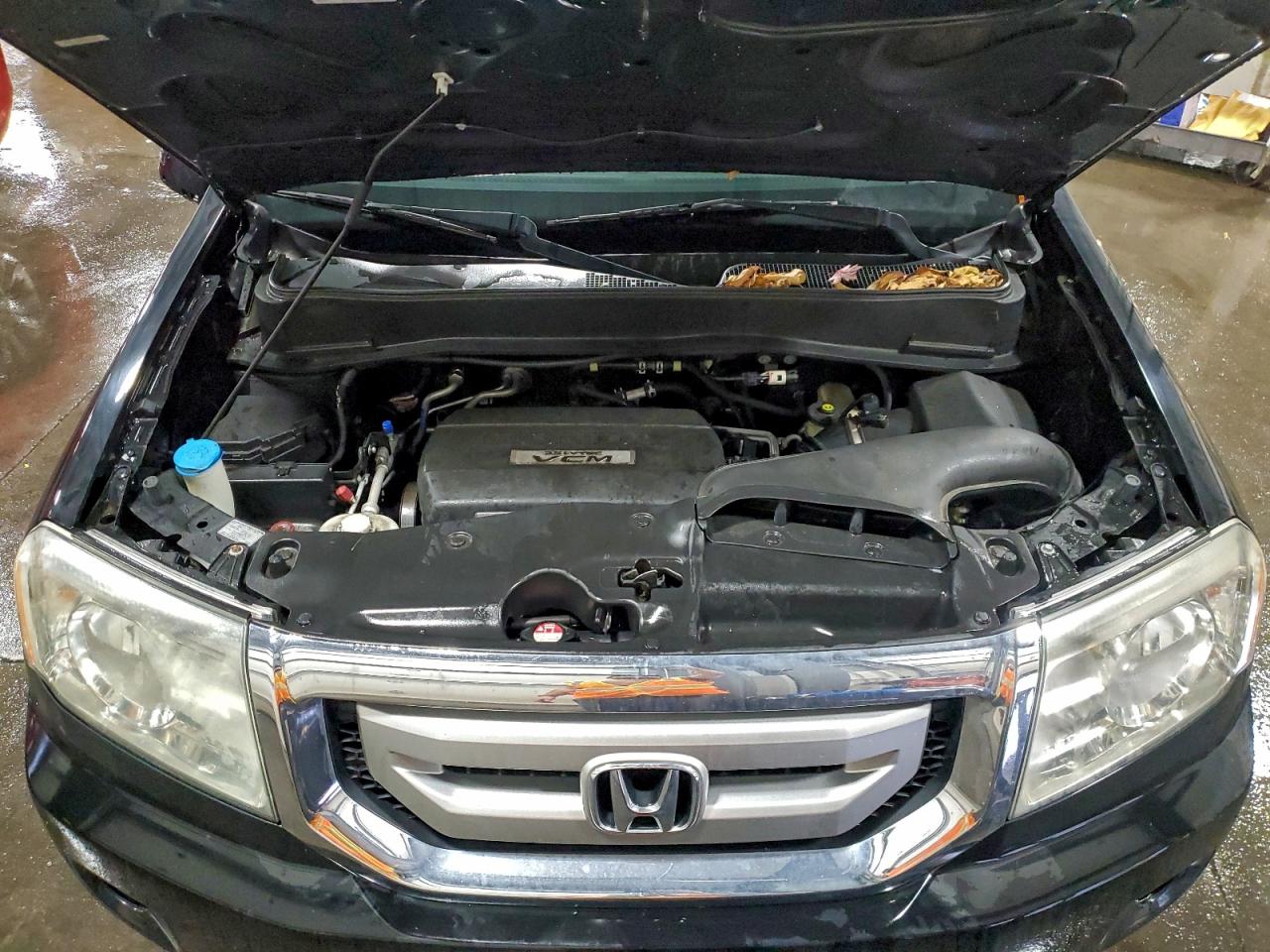 2009 Honda Pilot Exl VIN: 5FNYF48619B017017 Lot: 94177455