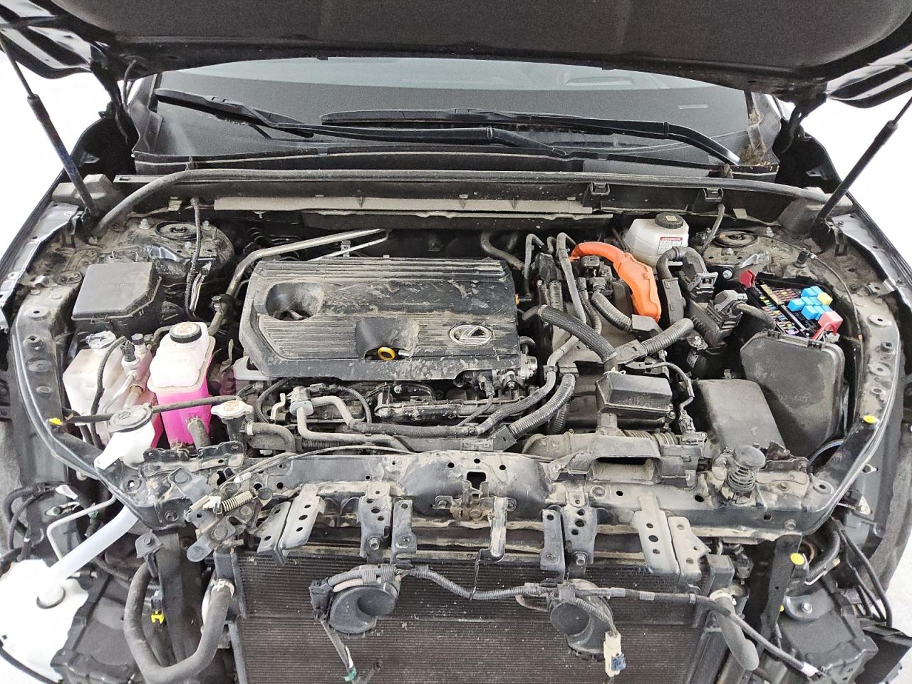 2024 Lexus Nx 350H Base VIN: JTJGKCEZ4R5019973 Lot: 89838325