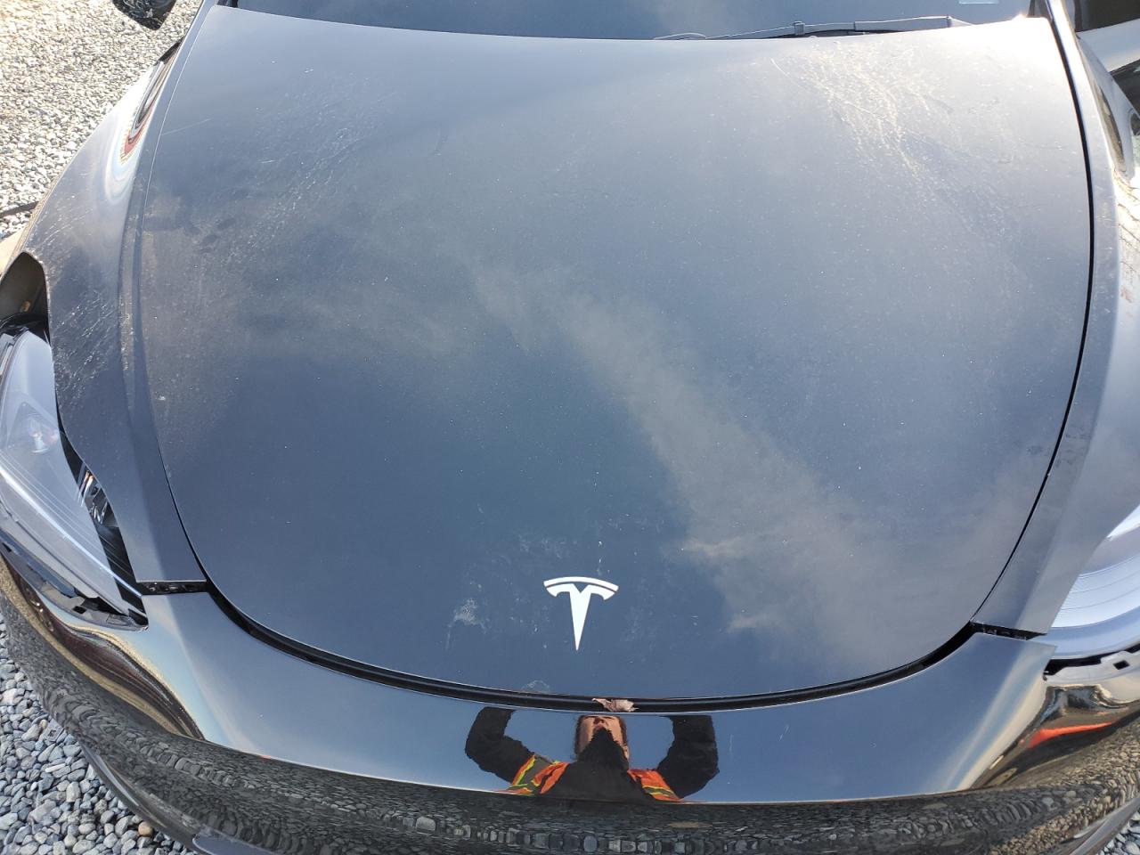 2024 Tesla Model Y VIN: 7SAYGDEF6RF079954 Lot: 93477085