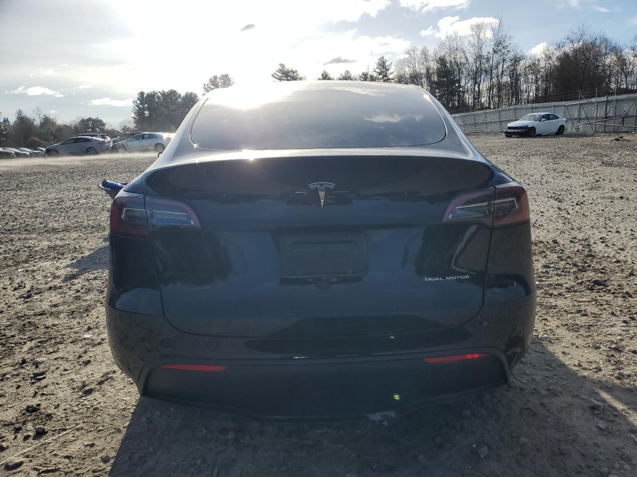 2023 Tesla Model Y VIN: 7SAYGDEE9PF847981 Lot: 92992665