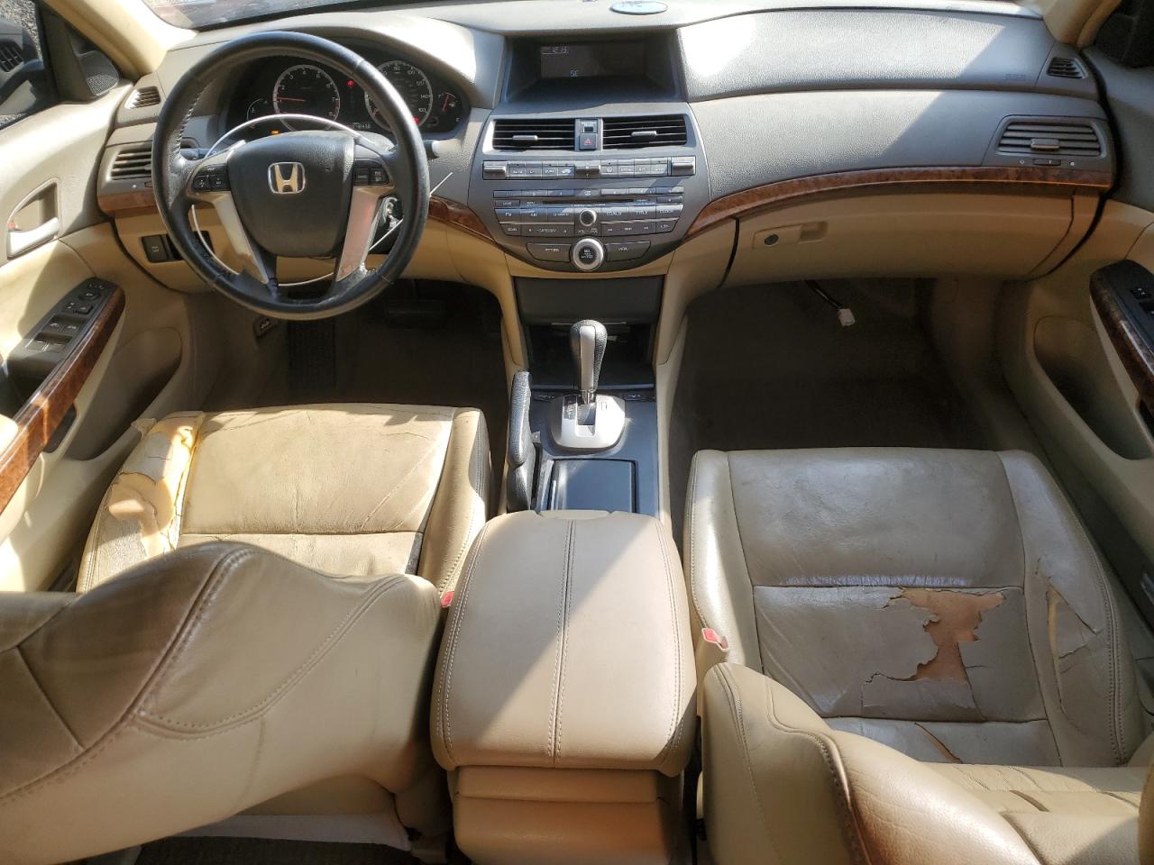 2009 Honda Accord Exl VIN: 1HGCP26899A136282 Lot: 91640605