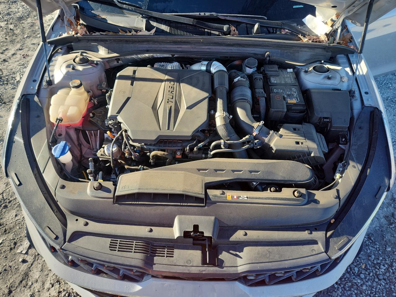 2023 Kia K5 Gt VIN: 5XXG44J80PG176232 Lot: 90688245