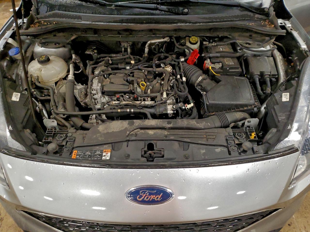 2021 Ford Escape Se VIN: 1FMCU9G64MUA42908 Lot: 93765965