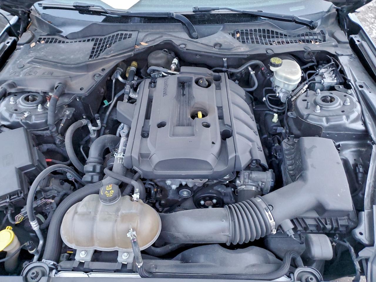 2017 Ford Mustang VIN: 1FA6P8TH6H5218230 Lot: 94042985