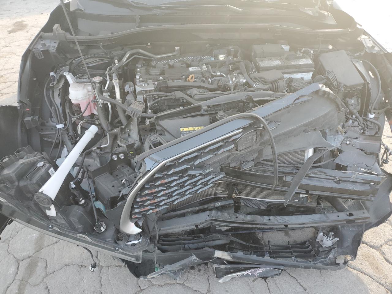 2023 Toyota Corolla Cross Xle VIN: 7MUDAABG3PV065534 Lot: 92884795