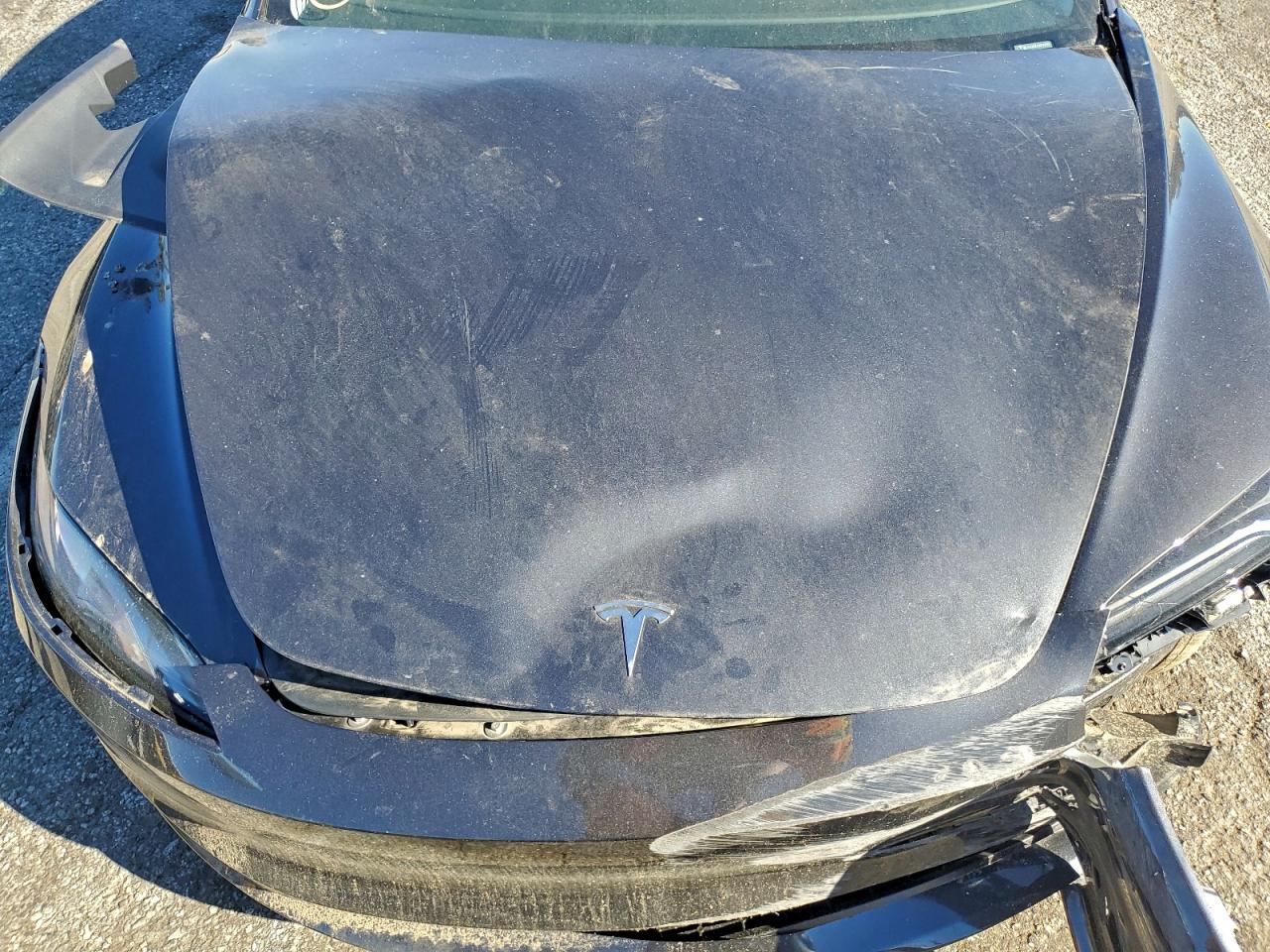 2025 Tesla Model 3 VIN: 5YJ3E1EA2SF901591 Lot: 93619145