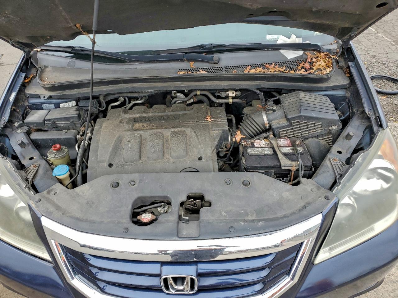 2009 Honda Odyssey Exl VIN: 5FNRL38769B413380 Lot: 94355165