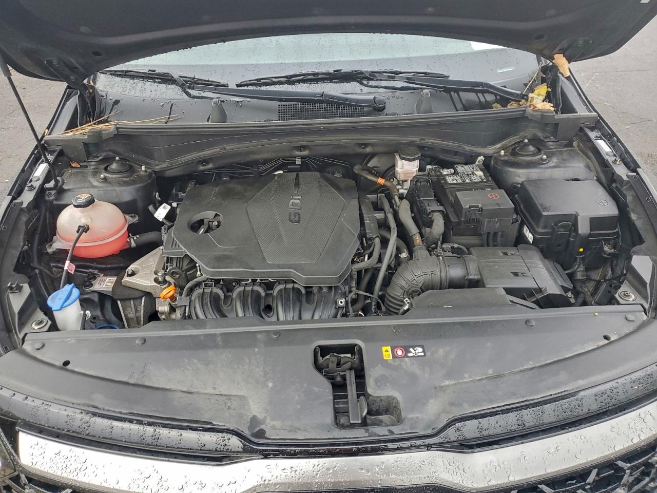 2023 Kia Sportage X Line VIN: 5XYK6CAF0PG056830 Lot: 94359755