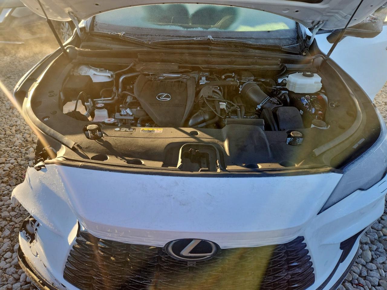 2023 Lexus Rx 500H F Sport VIN: 2T2BCMEA5PC002184 Lot: 92203515
