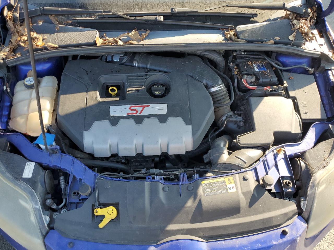 2013 Ford Focus St VIN: 1FADP3L94DL240851 Lot: 93823465