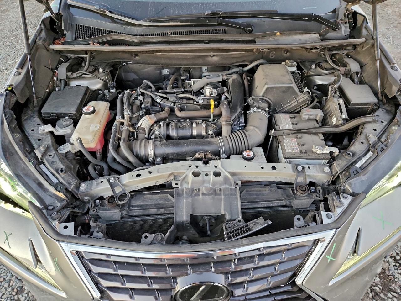 2020 Lexus Nx 300 VIN: JTJGARBZ7L5006460 Lot: 93894195