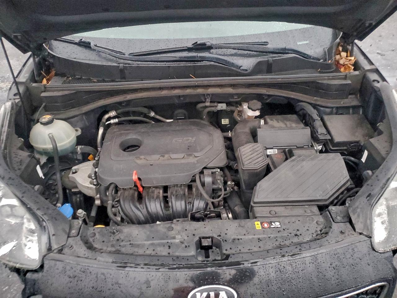 2019 Kia Sportage Lx VIN: KNDPM3ACXK7552550 Lot: 94499165