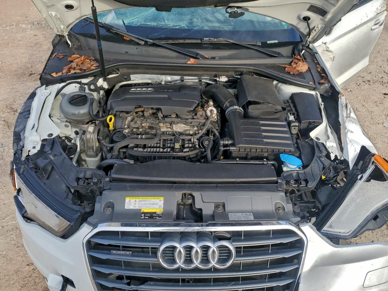 Фото: WAUBFGFF1F1003890