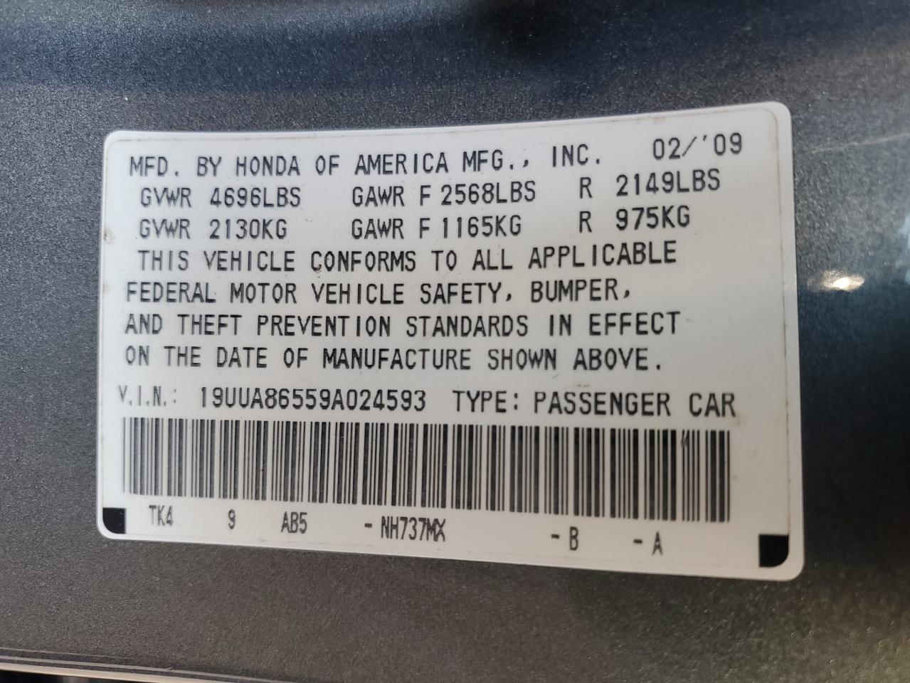 2009 Acura Tl VIN: 19UUA86559A024593 Lot: 92004535